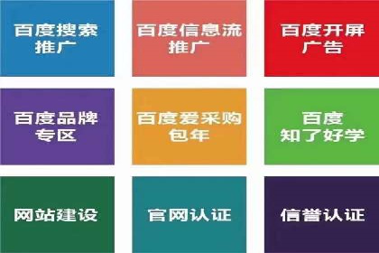 百度网络推广实战技巧：案例解析，让广告投放更精准