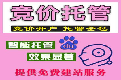 案例分析：百度推广效果优化技巧